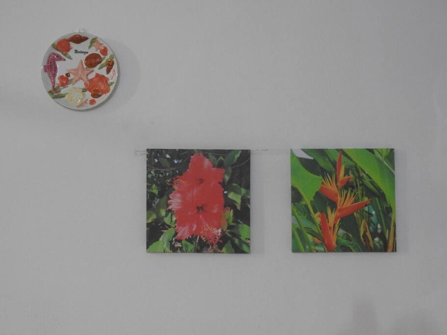 Studio Hibiscus-Ch Vue Sur Mer,Plage,Clim Les Anses-d'Arlets Kültér fotó